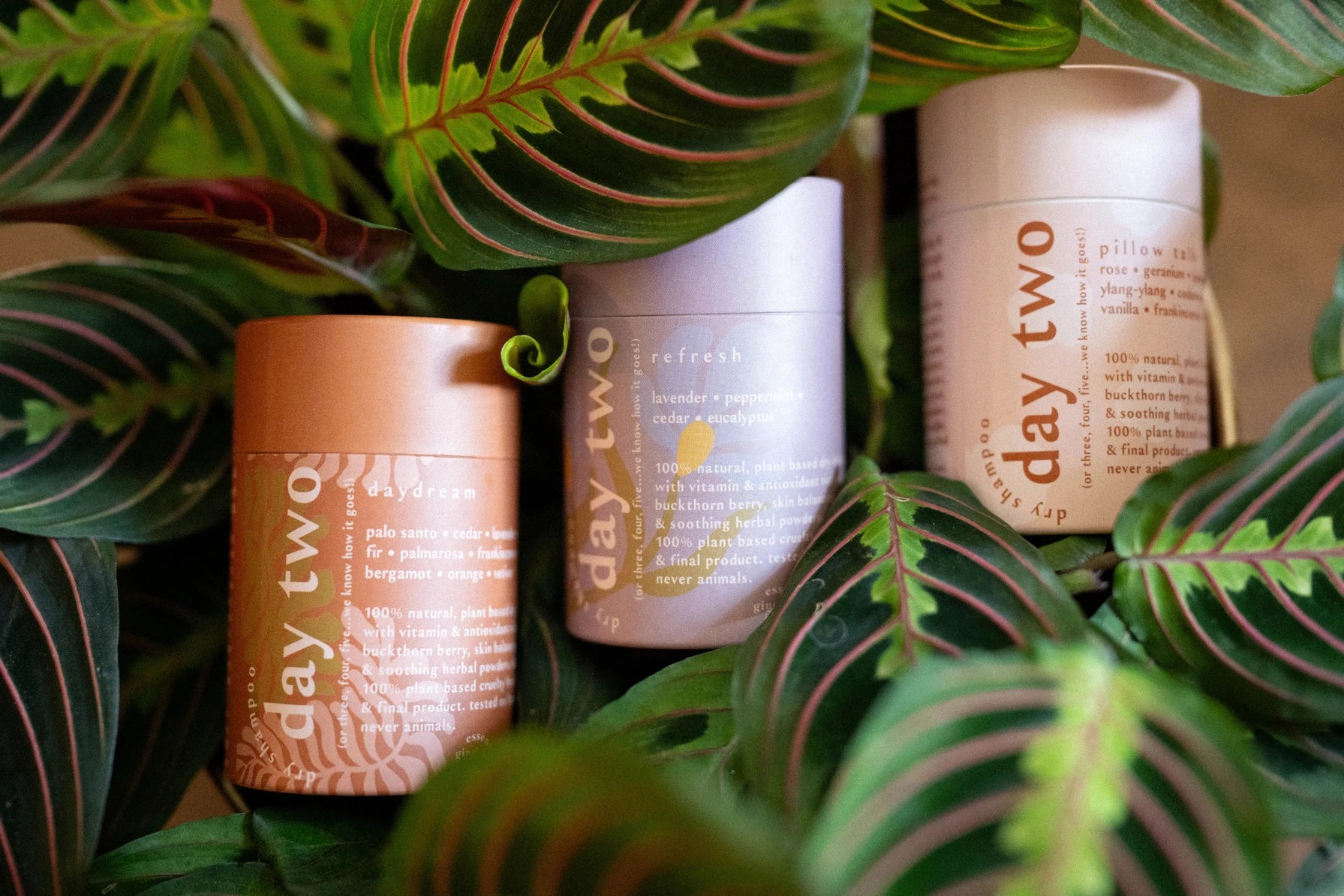 DAY TWO naturlig tørrsjampo